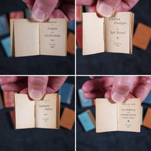 Load image into Gallery viewer, Gracieuse, La . Pairault, P. et Cie. Paris. 1896. Complete with ten French miniature books in Louis XV style bookcase/cabinet.