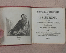 Load image into Gallery viewer, Miniature Historic Library,  in Eight volumes. Early illustrated miniature children's books in oak chest. Alfred Mills. Darton and Harvey. London. 1807-