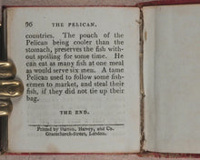 Load image into Gallery viewer, Miniature Historic Library,  in Eight volumes. Early illustrated miniature children's books in oak chest. Alfred Mills. Darton and Harvey. London. 1807-