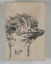 Load image into Gallery viewer, Berwick, Andrew, writen and illustrated by. The Lost Ostrich. Self-published. 2010.