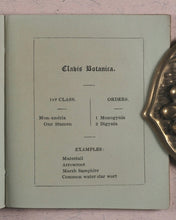 Load image into Gallery viewer, Clavis Botanica. A Key to the Study of Botany: on the System arranged by Linnaeus. Fry, Edmund, Houndsditch. London. 1834.