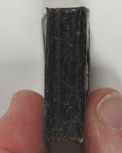 Load image into Gallery viewer, Small Rain Upon the Tender Herb Deut. xxxii. 2. Religious Tract Society. London. Circa 1840.