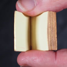 Load image into Gallery viewer, Crowther, Alice. Golden Thoughts from great authors. Bryce, David & Son. Glasgow. Circa 1895. Mauchline edition in original tartan box.