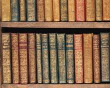 Load image into Gallery viewer, Shakespeare, William. Works. Bryce, David & Son. Glasgow. 1904. Hanging bookcase. Bryce's own copy.