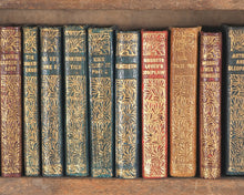Load image into Gallery viewer, Shakespeare, William. Works. Bryce, David & Son. Glasgow. 1904. Hanging bookcase. Bryce's own copy.