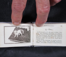 Load image into Gallery viewer, Petit Naturaliste. Marcilly. Rue St. Jacques, no. 10. Paris. 1829.
