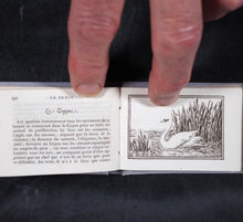 Load image into Gallery viewer, Petit Naturaliste. Marcilly. Rue St. Jacques, no. 10. Paris. 1829.