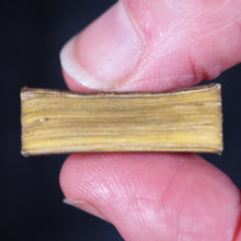 Load image into Gallery viewer, Smallest English Dictionary in the World. Comprising: besides the ordinary & newest words in the language, short explanations of a large number of scientific, philosophical, literary & technical terms. Bryce, David & Son. Glasgow. 1893. SILVER LOCKET