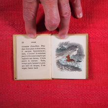 Load image into Gallery viewer, Voyages et aventures de Bob l'écureuil. Texte traduit de l'anglais. >>MINIATURE FRENCH BOOK OF A SQUIRREL<< Publication Date: 1834 CONDITION: VERY GOOD