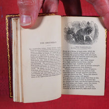 Load image into Gallery viewer, Milton, John. Poetical works of John Milton >>MINIATURE SIGNED BINDING<<  Publication Date: 1840 CONDITION: VERY GOOD