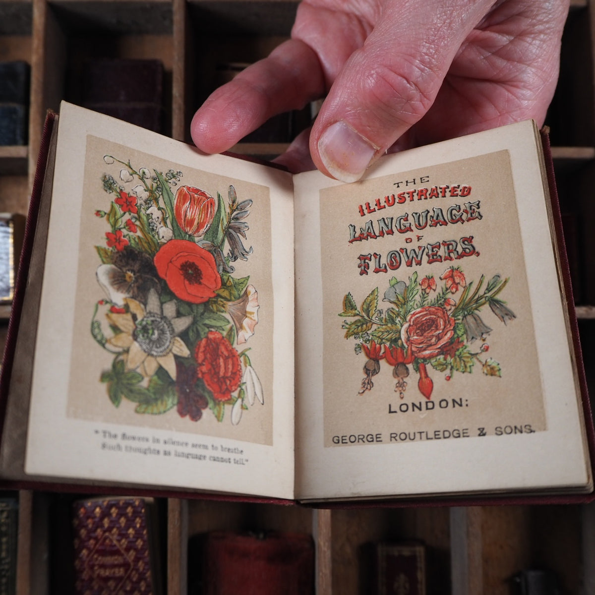Miniature language of flowers. Burke, Anna Christian. Publication