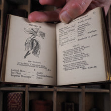 Load image into Gallery viewer, Miniature language of flowers. Burke, Anna Christian. Publication Date: 1864 CONDITION: VERY GOOD