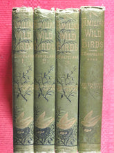 Load image into Gallery viewer, Familiar Wild Birds. [ORIGINAL  BINDINGS]. WALTER SWAYSLAND.  Published by London: Cassell &amp; Company, Limited, 1883.
