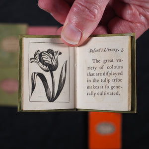 Infant's Library. Marshall, John. Circa 1800. 16 volumes. Complete with original sycamore bookcase.