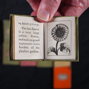 Infant's Library. Marshall, John. Circa 1800. 16 volumes. Complete with original sycamore bookcase.