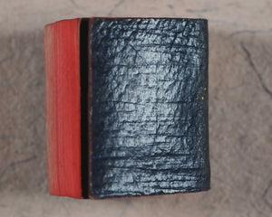 New Testament of the Lord and Saviour Jesus Christ. Bryce, David & Son. Glasgow. 1895.