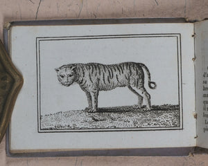 Petit Naturaliste. Marcilly. Rue St. Jacques, no. 10. Paris. No date but 1829.