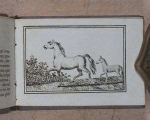 Petit Naturaliste. Marcilly. Rue St. Jacques, no. 10. Paris. No date but 1829.