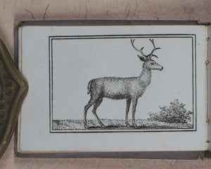 Petit Naturaliste. Marcilly. Rue St. Jacques, no. 10. Paris. No date but 1829.