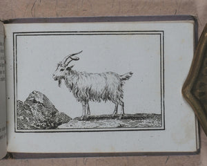 Petit Naturaliste. Marcilly. Rue St. Jacques, no. 10. Paris. No date but 1829.