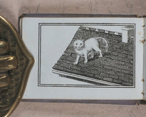 Petit Naturaliste. Marcilly. Rue St. Jacques, no. 10. Paris. No date but 1829.