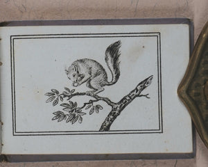 Petit Naturaliste. Marcilly. Rue St. Jacques, no. 10. Paris. No date but 1829.