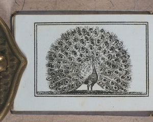 Petit Naturaliste. Marcilly. Rue St. Jacques, no. 10. Paris. No date but 1829.