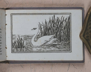 Petit Naturaliste. Marcilly. Rue St. Jacques, no. 10. Paris. No date but 1829.