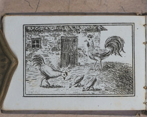 Petit Naturaliste. Marcilly. Rue St. Jacques, no. 10. Paris. No date but 1829.