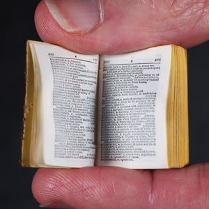 Smallest English Dictionary in the World. Comprising besides the ordinary and newest words in the language, short explanations of a large number of scientific, philosophical, literary & technical terms. David Bryce & Son. Glasgow. 1894. Boxed mauchline.