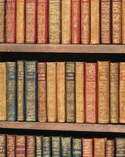 Load image into Gallery viewer, Shakespeare, William. Works. Bryce, David &amp; Son. Glasgow. 1904. Hanging bookcase. Bryce's own copy.
