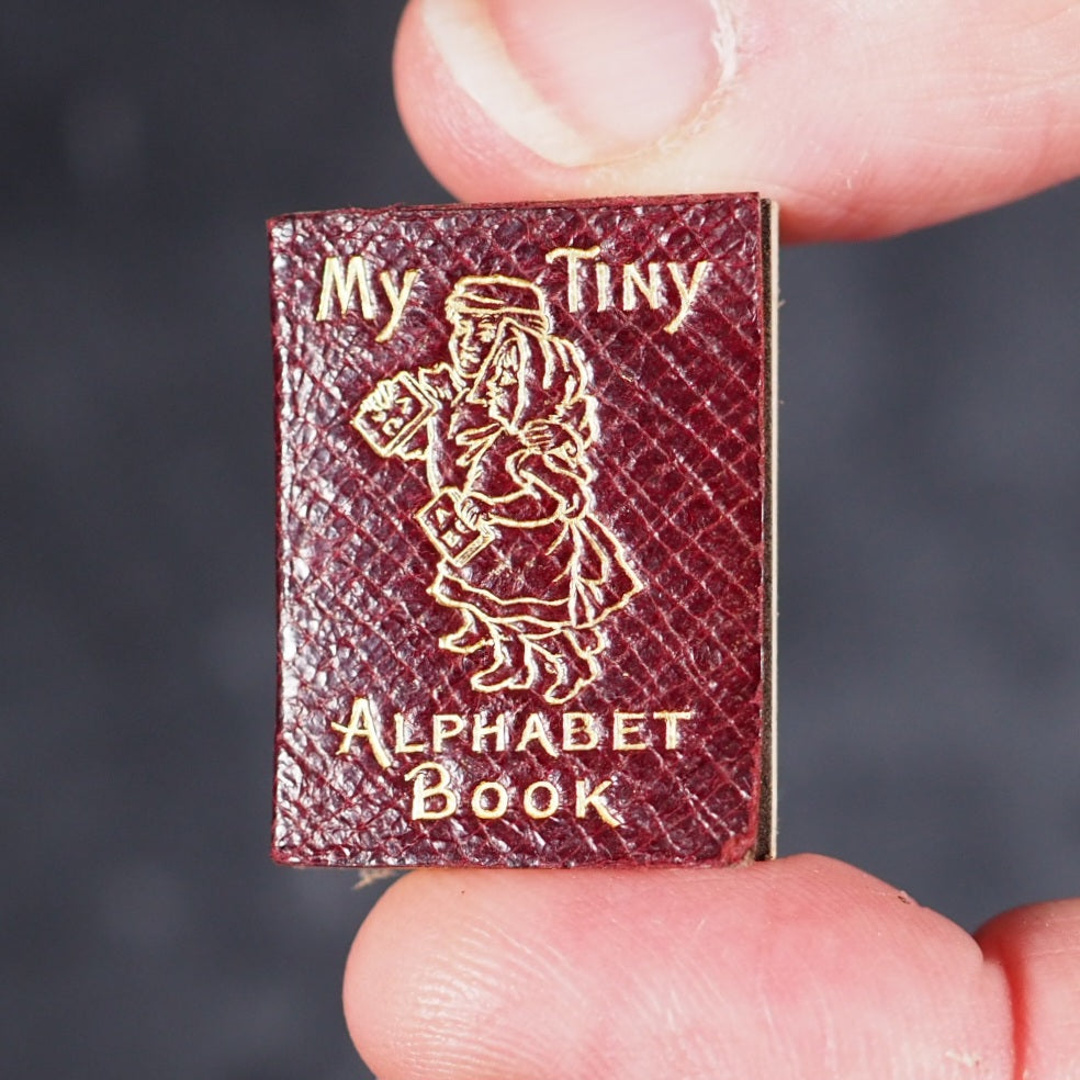 My Tiny Alphabet Book Bryce, David & Son. Glasgow. 1896. 2volumes in one.