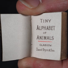 Load image into Gallery viewer, My Tiny Alphabet Book Bryce, David &amp; Son. Glasgow. 1896. 2volumes in one.
