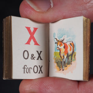 My Tiny Alphabet Book Bryce, David & Son. Glasgow. 1896. 2volumes in one.