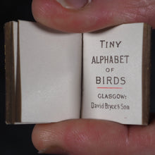 Load image into Gallery viewer, My Tiny Alphabet Book Bryce, David &amp; Son. Glasgow. 1896. 2volumes in one.
