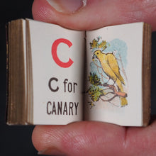 Load image into Gallery viewer, My Tiny Alphabet Book Bryce, David &amp; Son. Glasgow. 1896. 2volumes in one.
