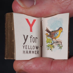 My Tiny Alphabet Book Bryce, David & Son. Glasgow. 1896. 2volumes in one.