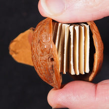 Load image into Gallery viewer, Sydney Royal Agricultural Society Show (The Royal Show), in a walnut shell. Unknown. [Sydney]. 1920.
