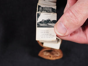 Sydney Royal Agricultural Society Show (The Royal Show), in a walnut shell. Unknown. [Sydney]. 1920.