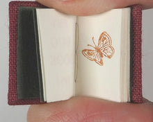 Load image into Gallery viewer, Ritscher, Paul]. PB's Bug Book. PBR. [Monterey Bay]. 1998. Numbered, 43 out of 100 copies.
