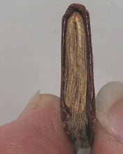 Load image into Gallery viewer, Petit paroissien de l'Enfance. Imprimerie de Ad. R. Lainè, Rue des St. Pères. 19. Paris. Circa 1835.
