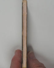 Load image into Gallery viewer, Rollwagen, J[ohan].G[eorg]. Carolinen Strasse. Augsburg [1859].
