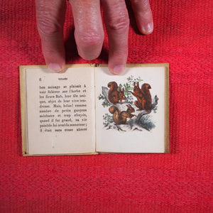 Voyages et aventures de Bob l'écureuil. Texte traduit de l'anglais. >>MINIATURE FRENCH BOOK OF A SQUIRREL<< Publication Date: 1834 CONDITION: VERY GOOD