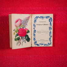 Load image into Gallery viewer, Emblematic Language of Flowers. &gt;&gt;ENCHANTING HARLEQUIN BORDERS&lt;&lt; Publication Date: 1844 CONDITION: GOOD

