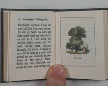 Load image into Gallery viewer, Grandpapa's Walking-Stick. S.W.Partridge &amp; Co. [Limited Numbered Edition. 2026].
