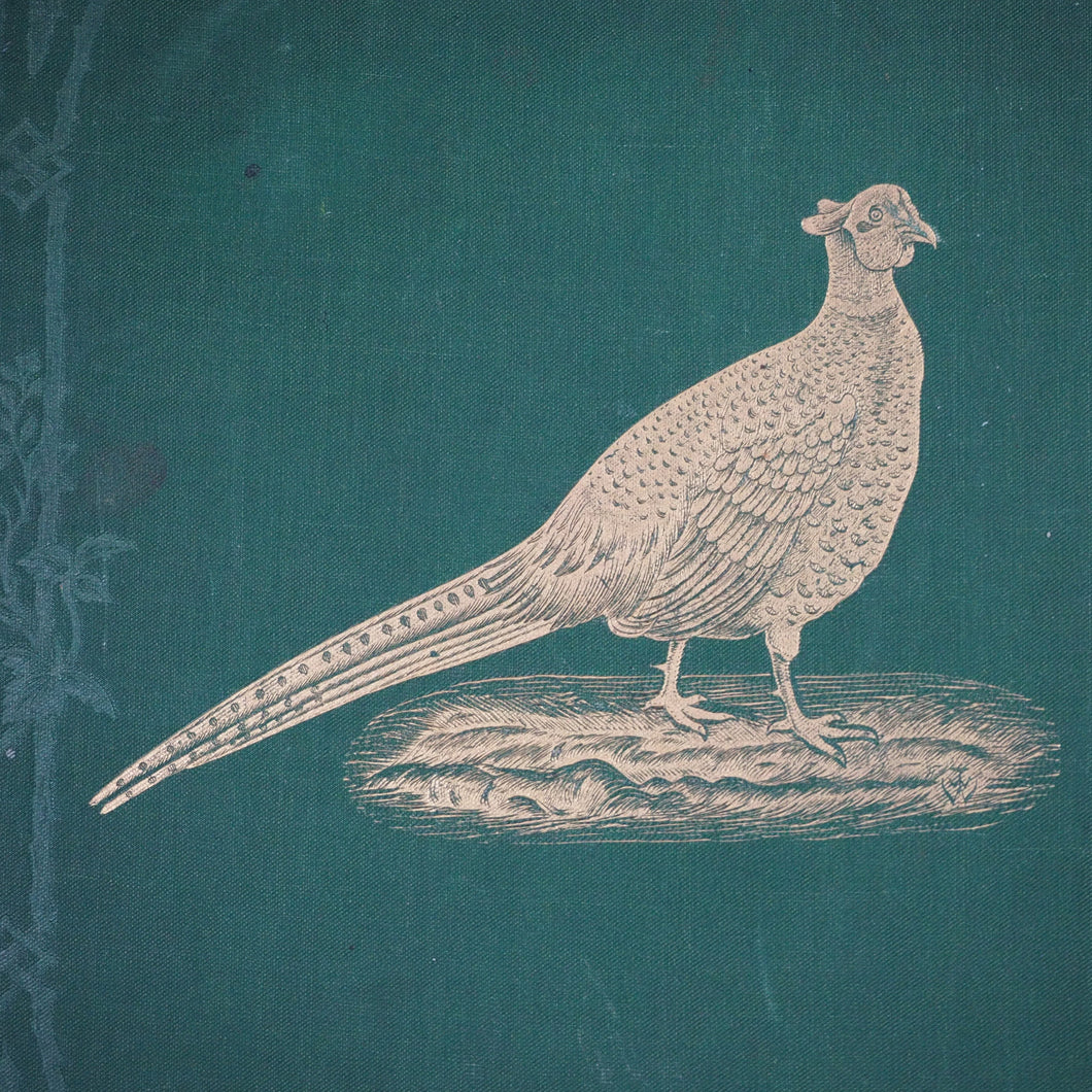 Pheasants for Coverts and Aviaries. Tegetmeier, W[illiam].B[ernhardt]. Publication Date: 1873 Condition: Very Good