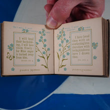 Load image into Gallery viewer, Bible forget-me-nots : a daily text-book of divine promises. [Macduff, John Ross.] Publication Date: 1883 CONDITION: VERY GOOD
