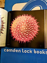 Load image into Gallery viewer, Pollen: the Hidden Sexuality of Flowers&gt;&gt;&gt;&gt;LARGE FORMAT&lt;&lt;&lt;&lt;3rd Edition Rob Kesseler &amp; Madeline Harley ISBN 10: 1906506019 / ISBN 13: 9781906506018 Condition: Fine
