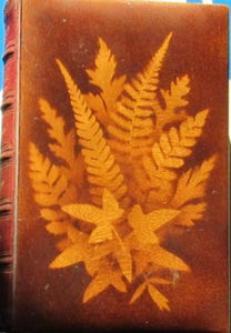 MAUCHLINE FERN WARE BINDING<<The Poetical Works of Sir Walter Scott. With memoir of the author. Sir Walter Scott Publication Date: 1871 Condition: Very Good