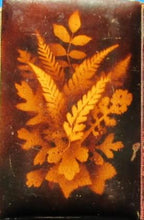 Load image into Gallery viewer, MAUCHLINE FERN WARE BINDING&lt;&lt;The Poetical Works of Sir Walter Scott. With memoir of the author. Sir Walter Scott Publication Date: 1871 Condition: Very Good.
